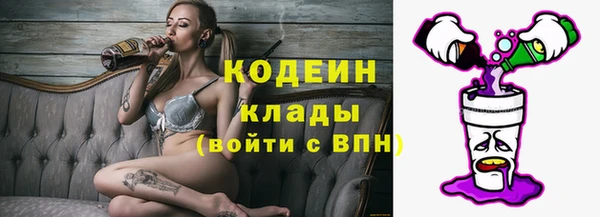 дмт Абаза