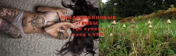 МДПВ Медногорск