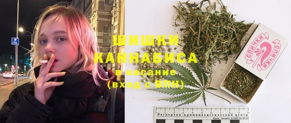 дмт Абаза